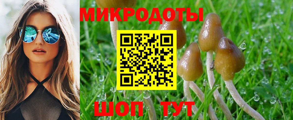 Семёнов  Псилоцибиновые грибы Magic Shrooms  Вход с VPN 